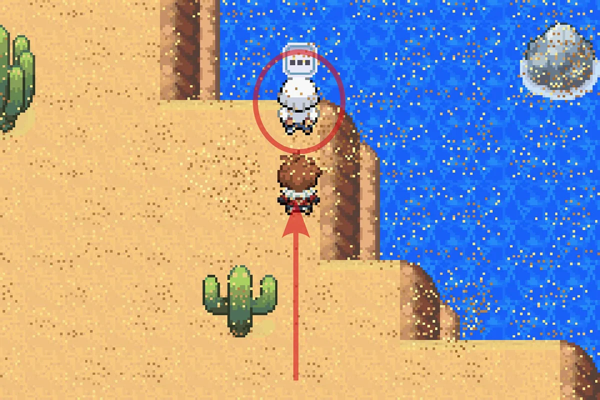 백발의 NPC에게 다가가는 모습. / Pokémon Unbound