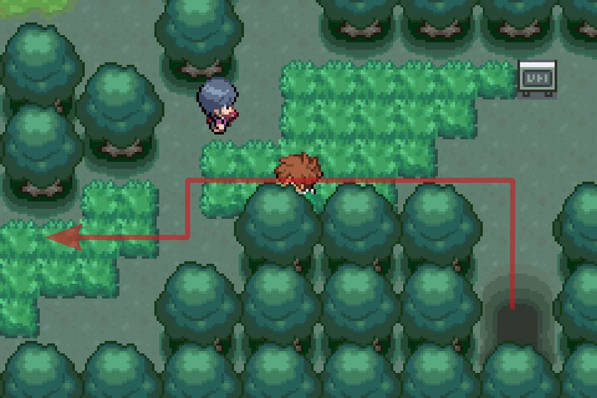 숲에 들어간 후 서쪽 경로를 따라가는 모습. / Pokémon Unbound