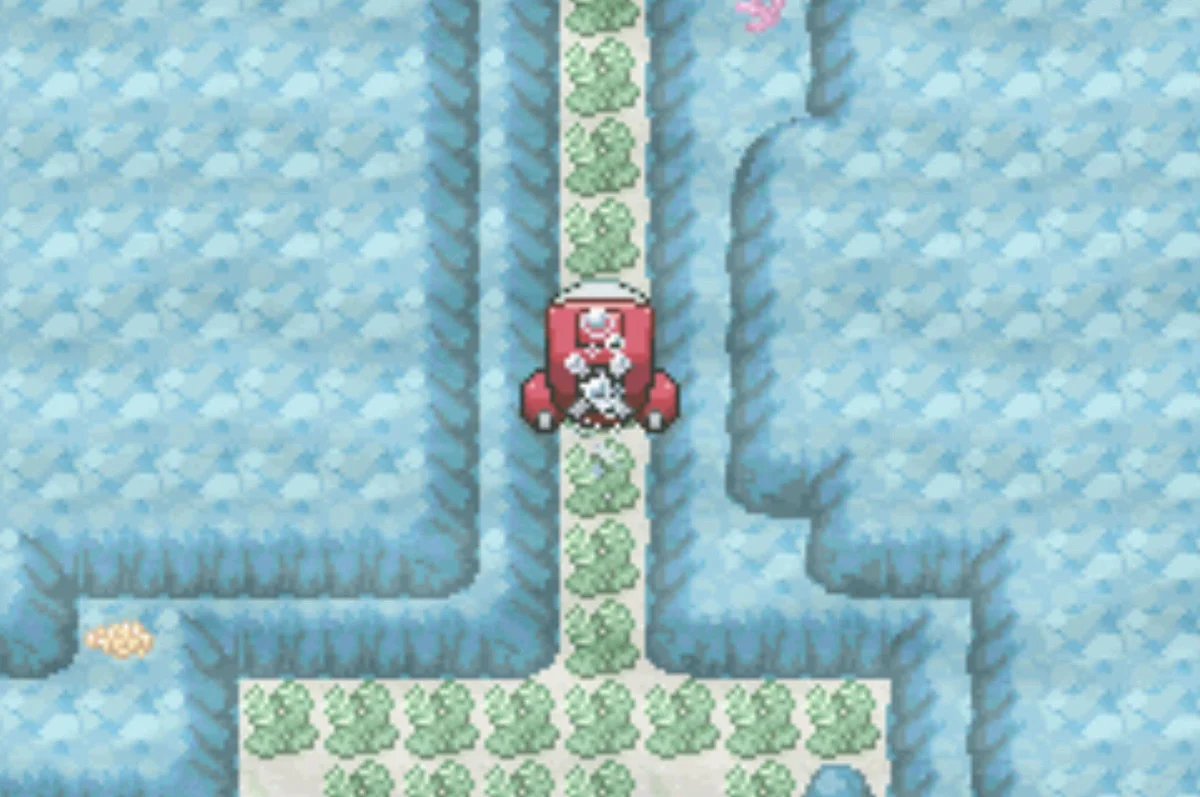 The narrow passage / Pokémon Unbound