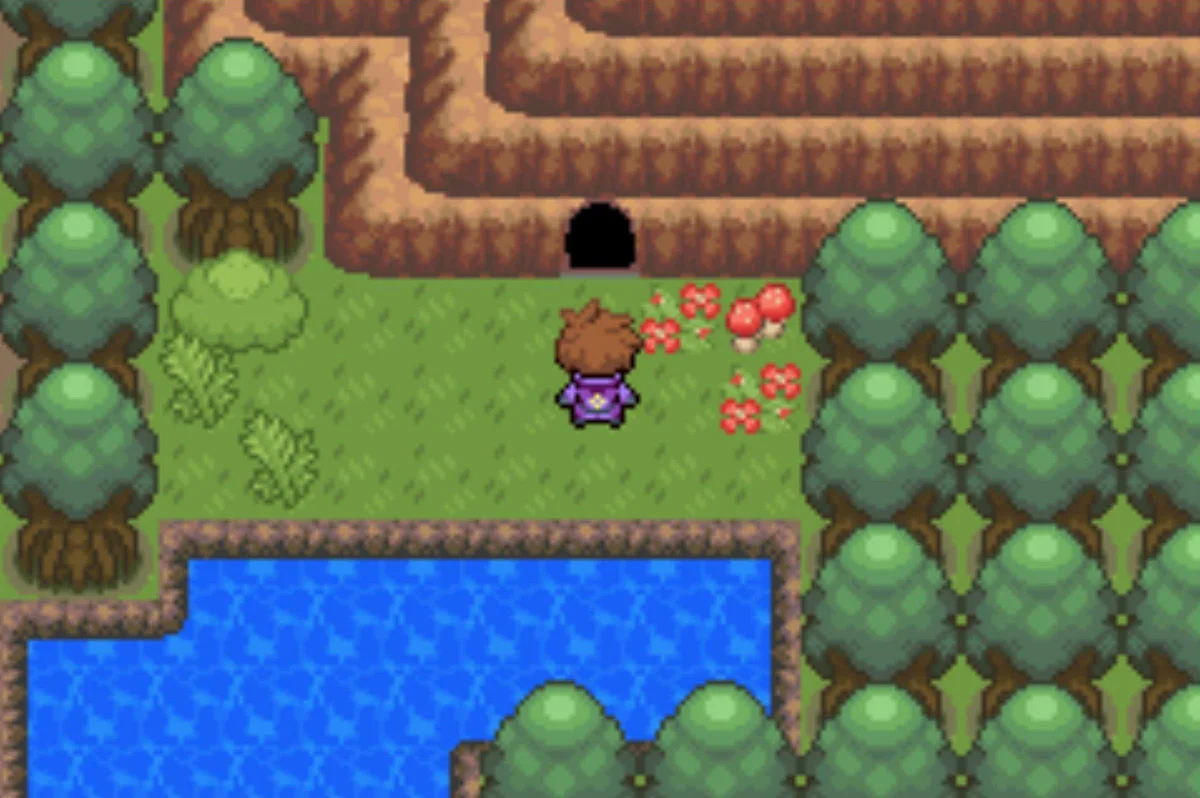Crystal Peak entrance in Cootes Bog / Pokémon Unbound