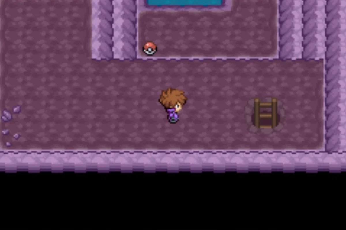 The ladder / Pokémon Unbound