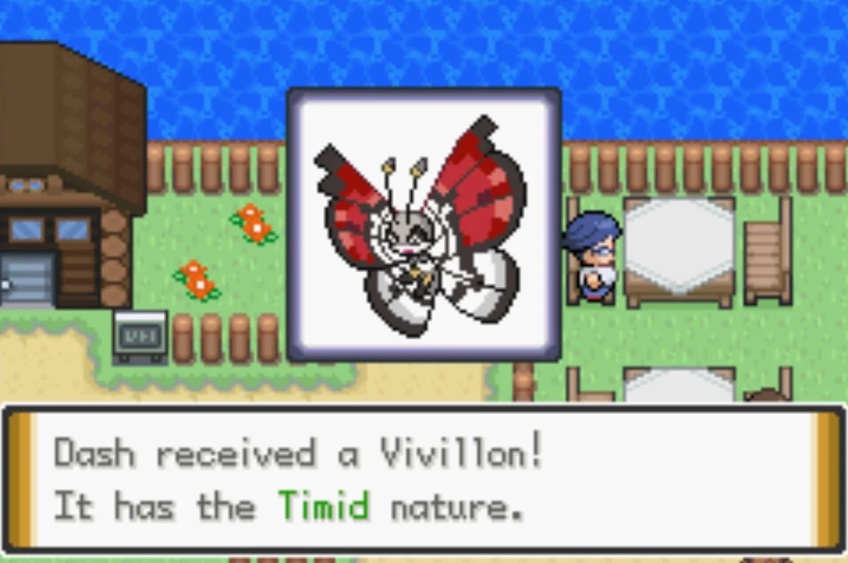 희귀한 비비용 / Pokémon Unbound