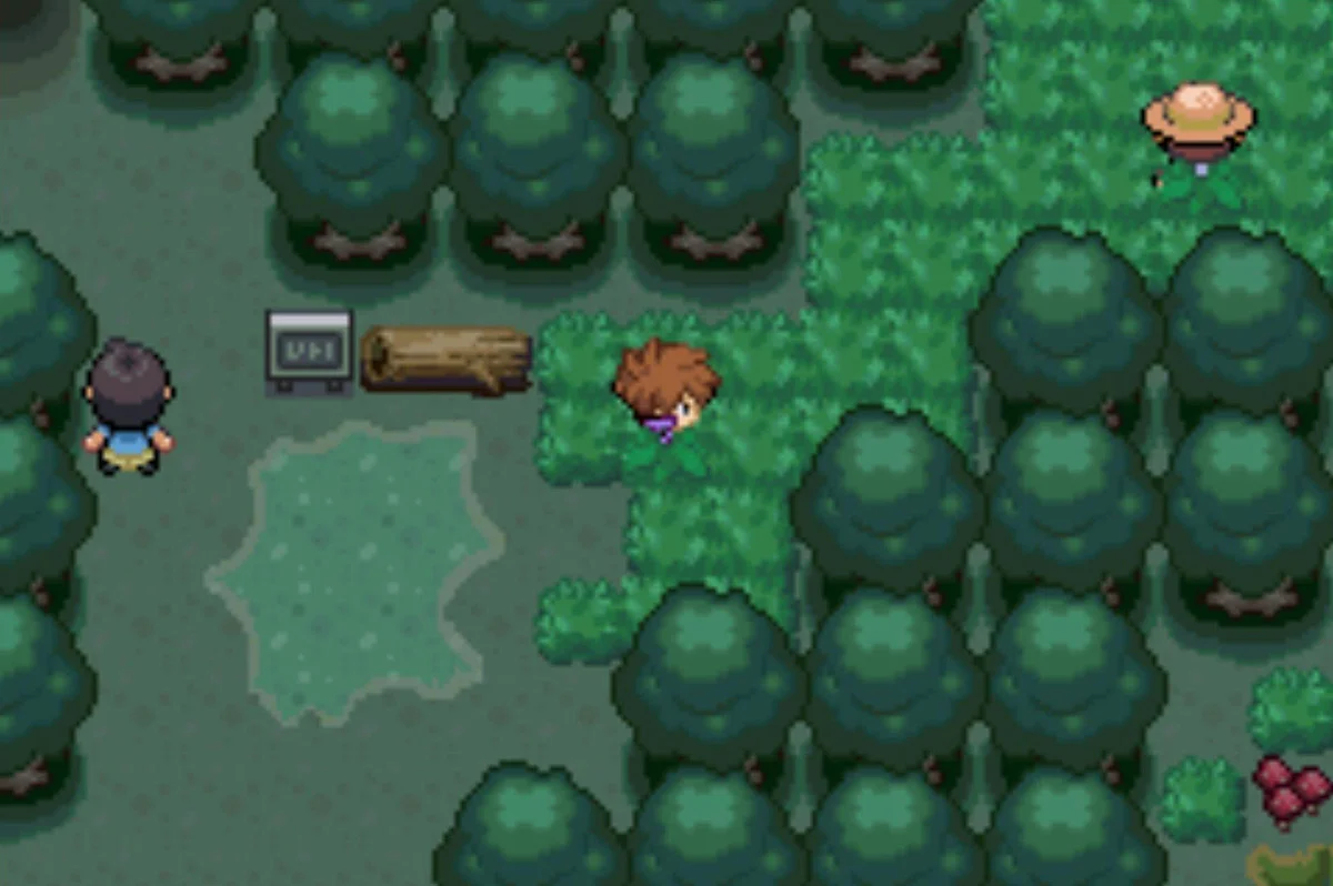 비빌 숲에서 사냥 중 / Pokémon Unbound