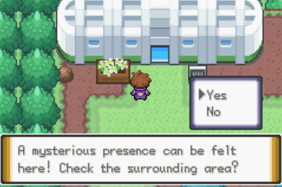 제대로 찾아왔다