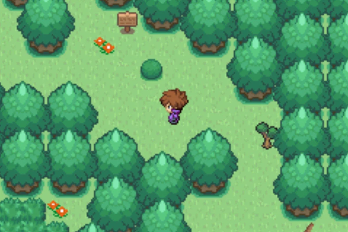 나무를 베고 지나가세요