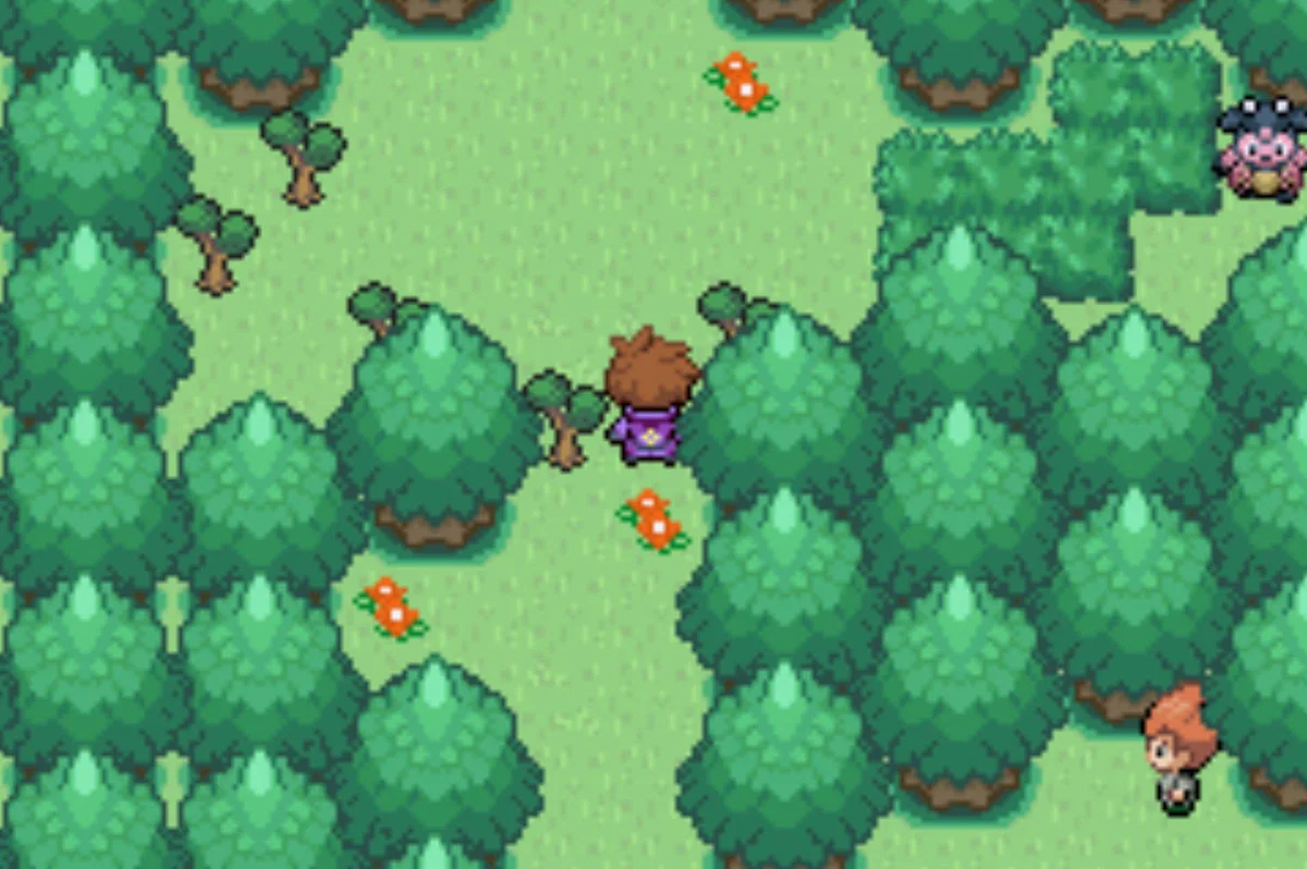 북쪽으로 올라가 오른쪽 나무 베기