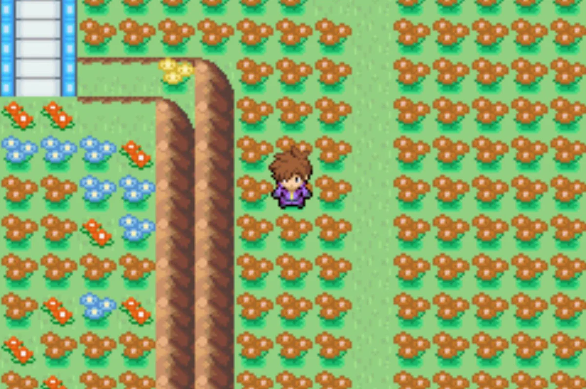 꽃밭에서 세꿀버리 찾기