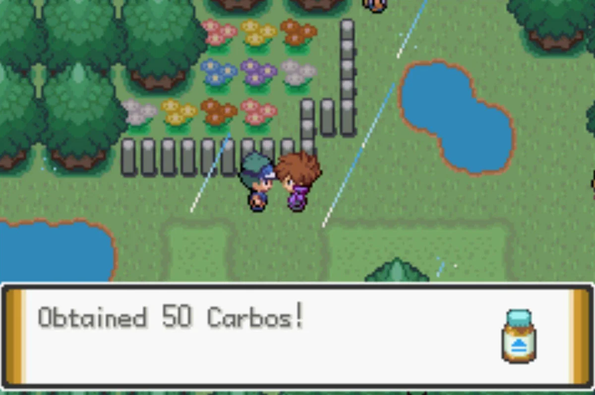 포켓몬 스피드를 올려주는 알칼로이드