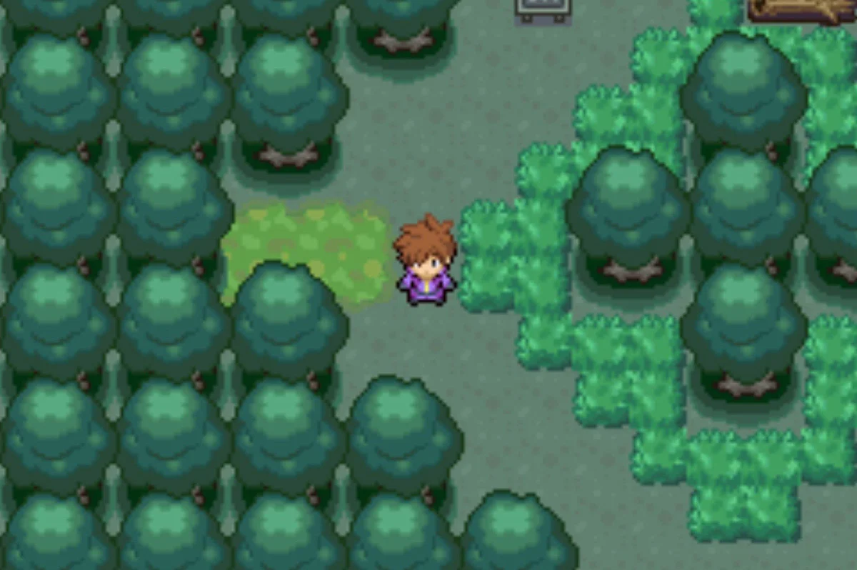 Most clearings of the forest have four exits / Pokémon Unbound