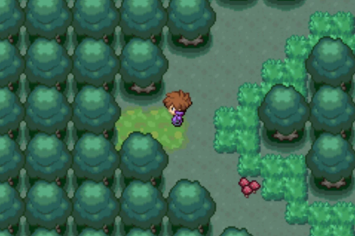 Take the west exit again / Pokémon Unbound