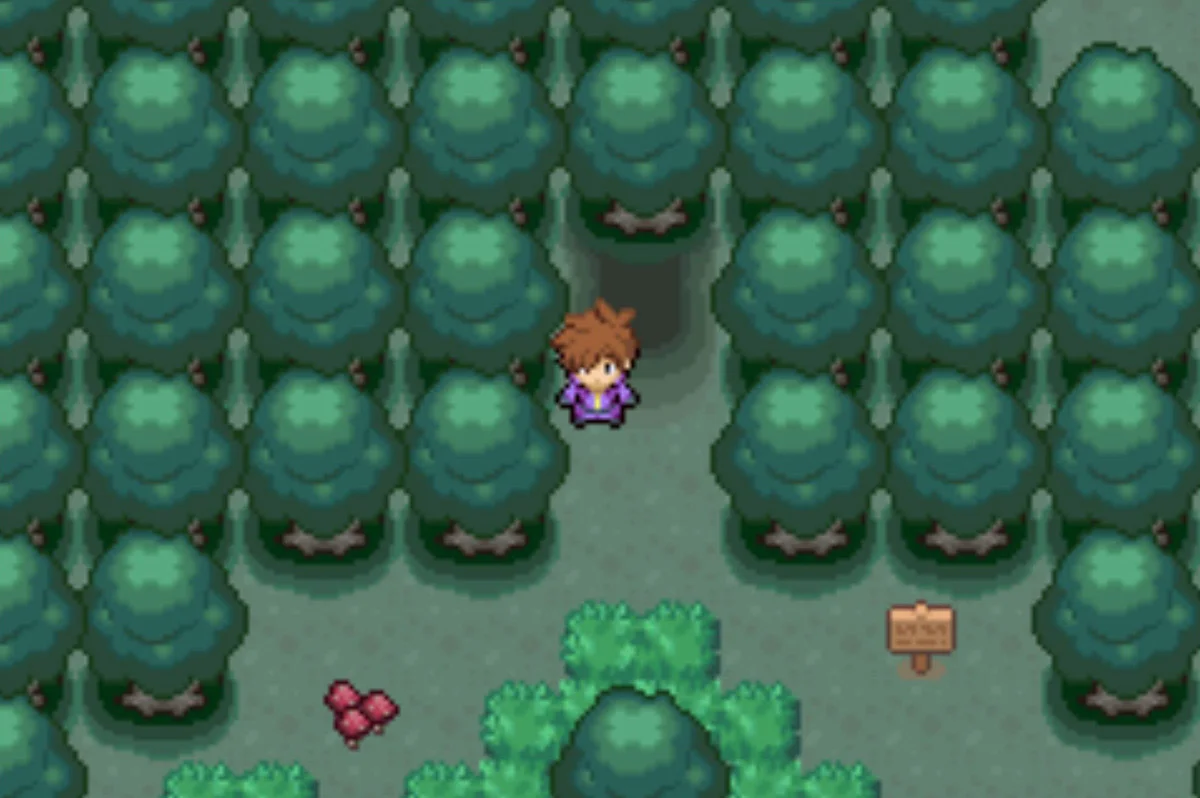 The third clearing / Pokémon Unbound