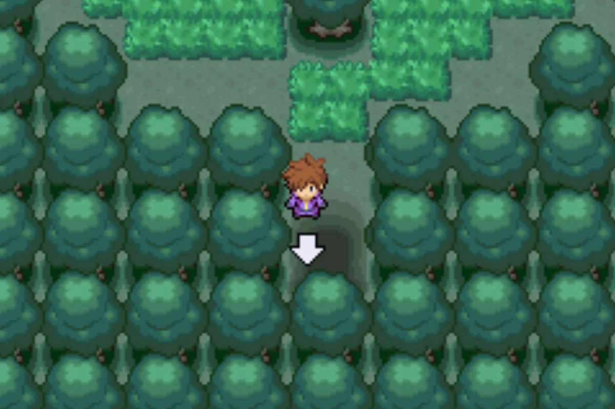The south exit / Pokémon Unbound