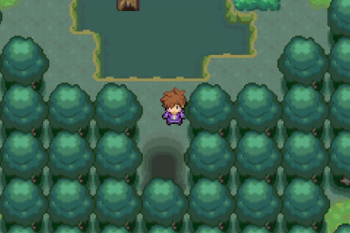 The south exit / Pokémon Unbound