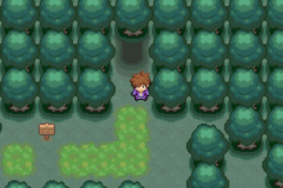 The final clearing / Pokémon Unbound