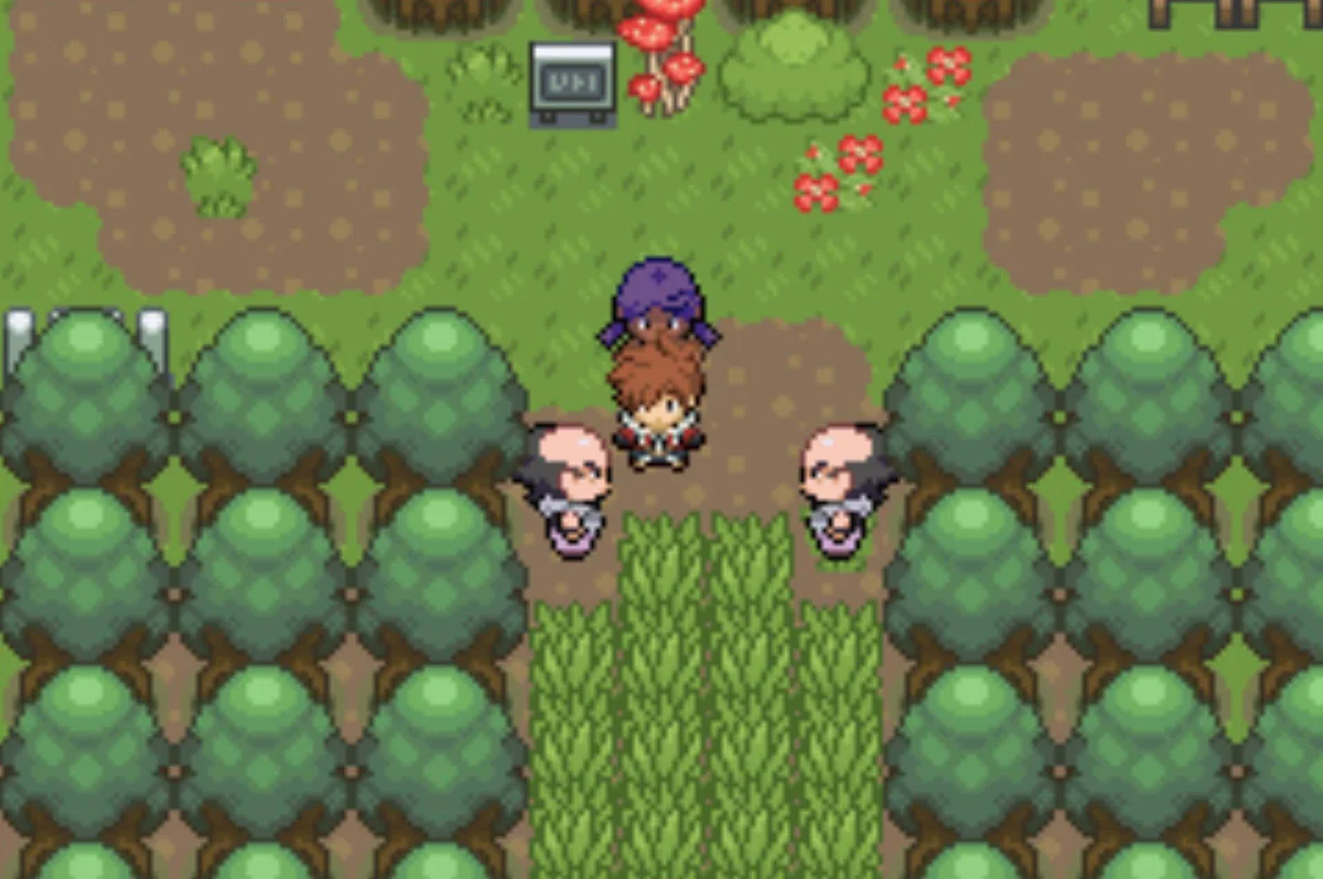 The third pair / Pokémon Unbound