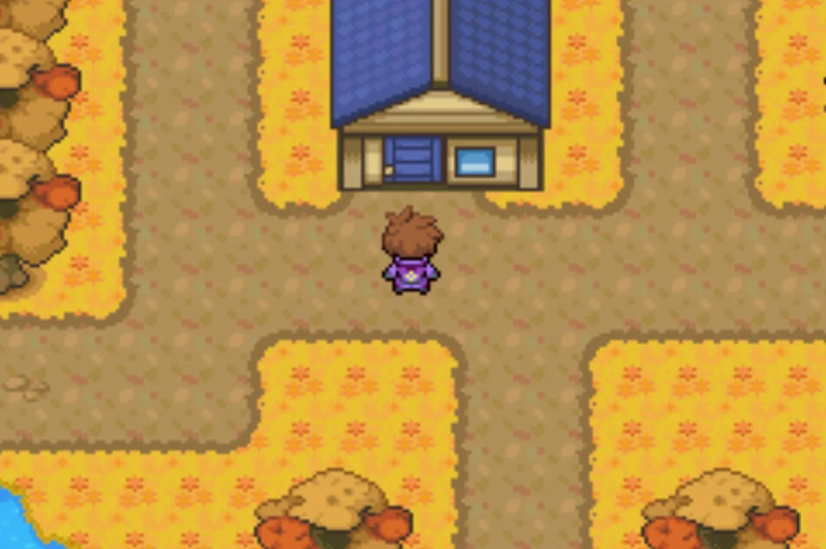 The Lab Assistant house in Tehl Town / Pokémon Unbound