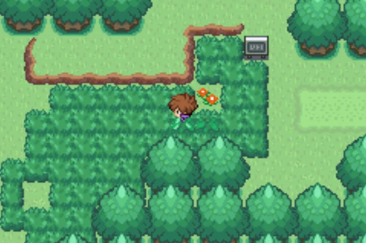 Heading west / Pokémon Unbound