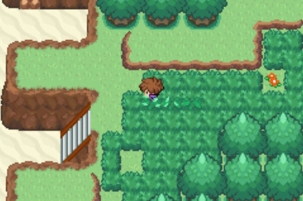 Go through the long grass / Pokémon Unbound