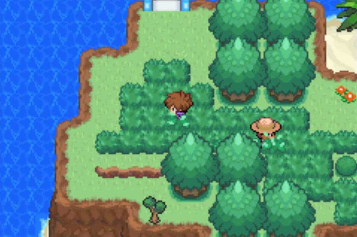 Go north / Pokémon Unbound