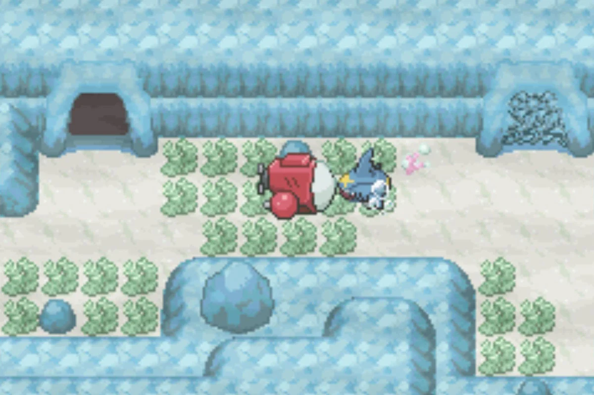 The second Sharpedo / Pokémon Unbound