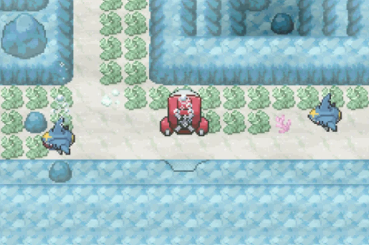 The third and fourth Sharpedos / Pokémon Unbound