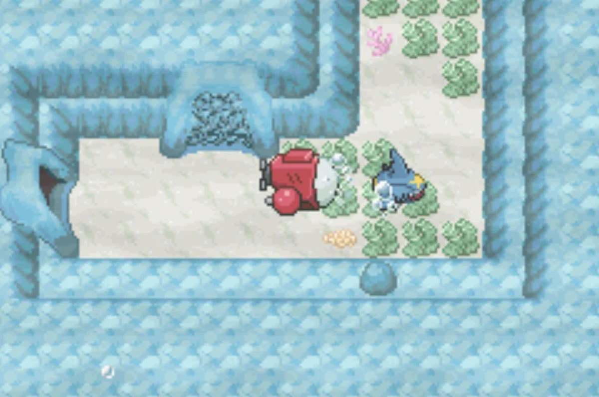 The ninth Sharpedo / Pokémon Unbound