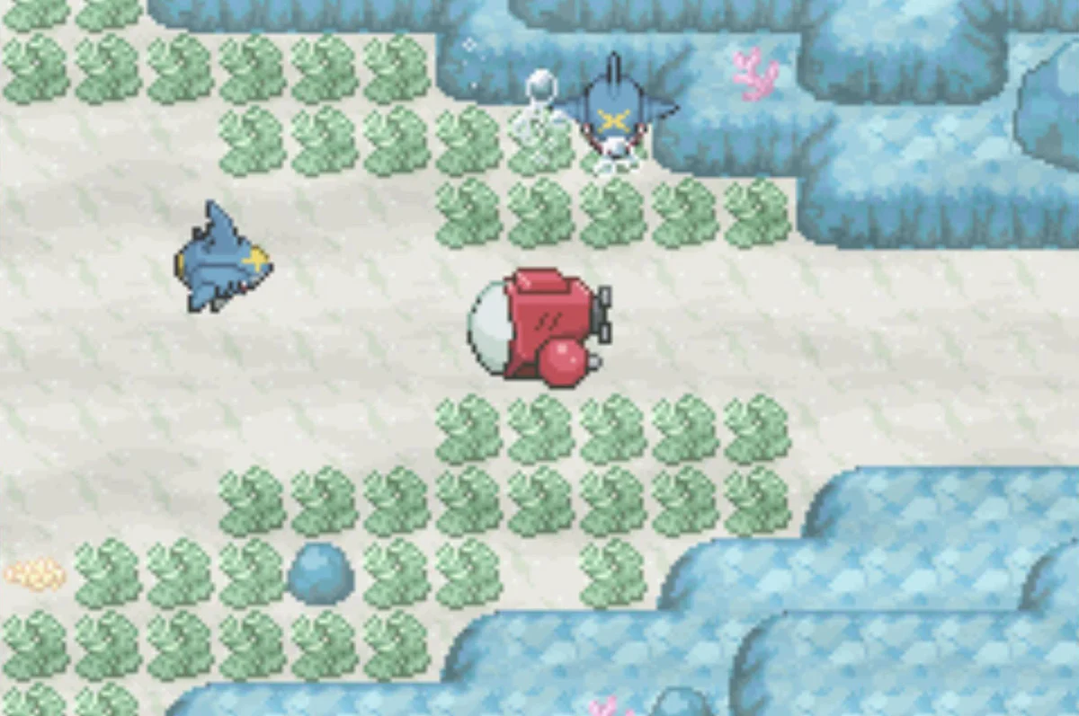 The eleventh and twelfth Sharpedo / Pokémon Unbound