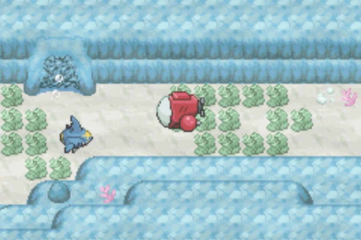 The nineteenth Sharpedo / Pokémon Unbound