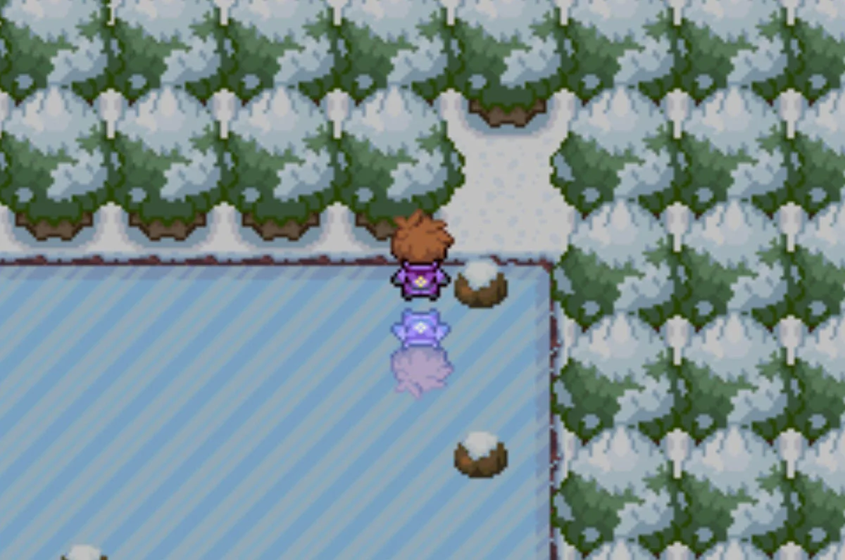 After the second move / Pokémon Unbound