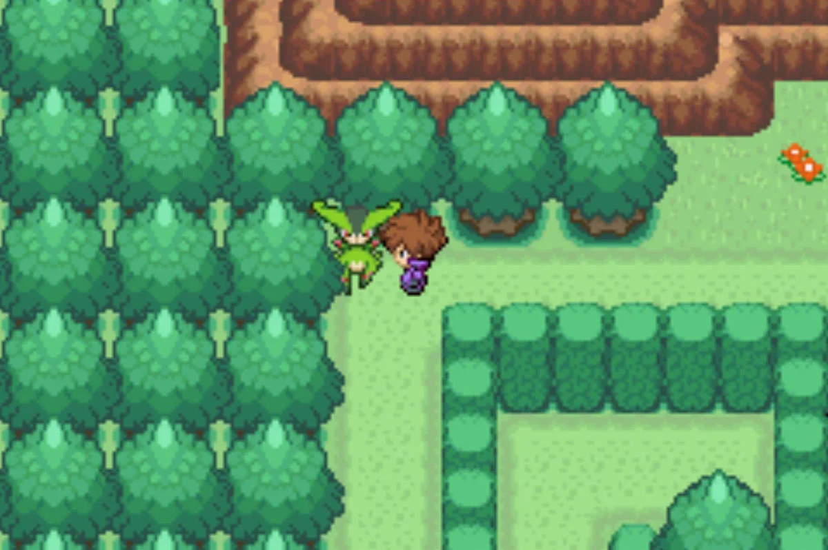 Northwest corner / Pokémon Unbound