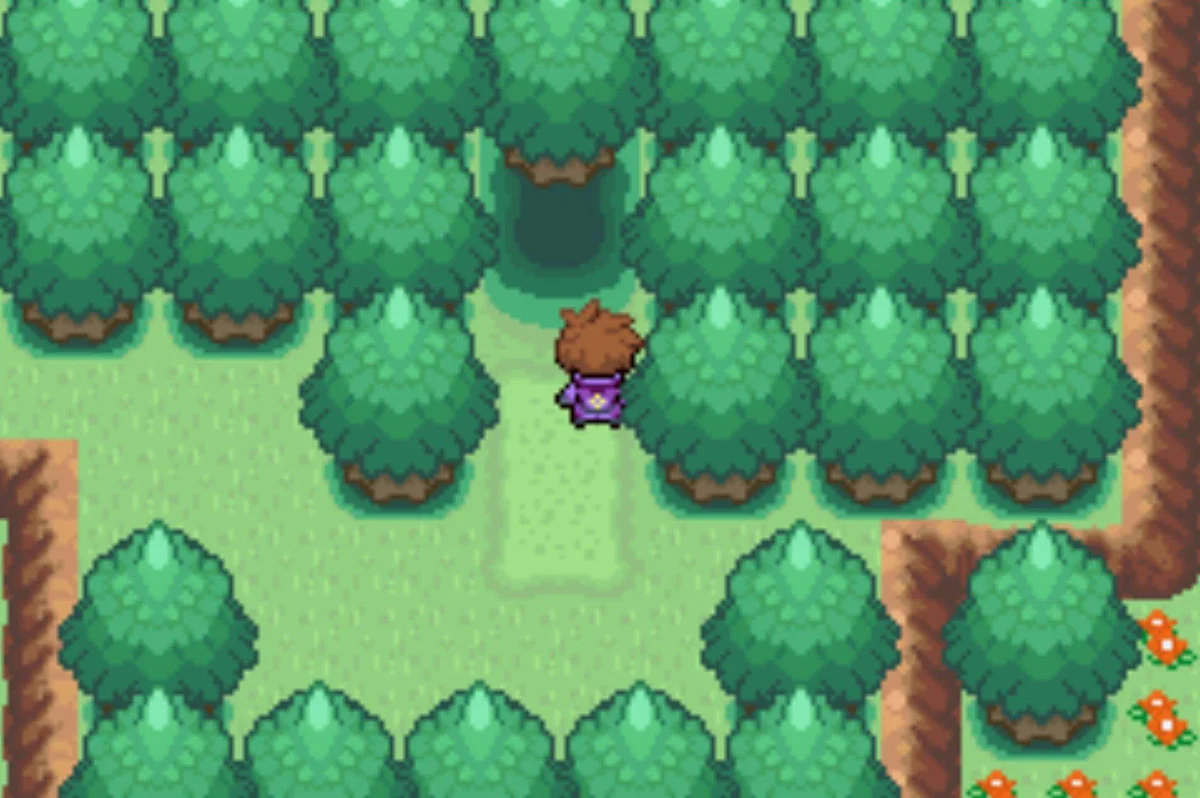 숲 입구 / 포켓몬 언바운드