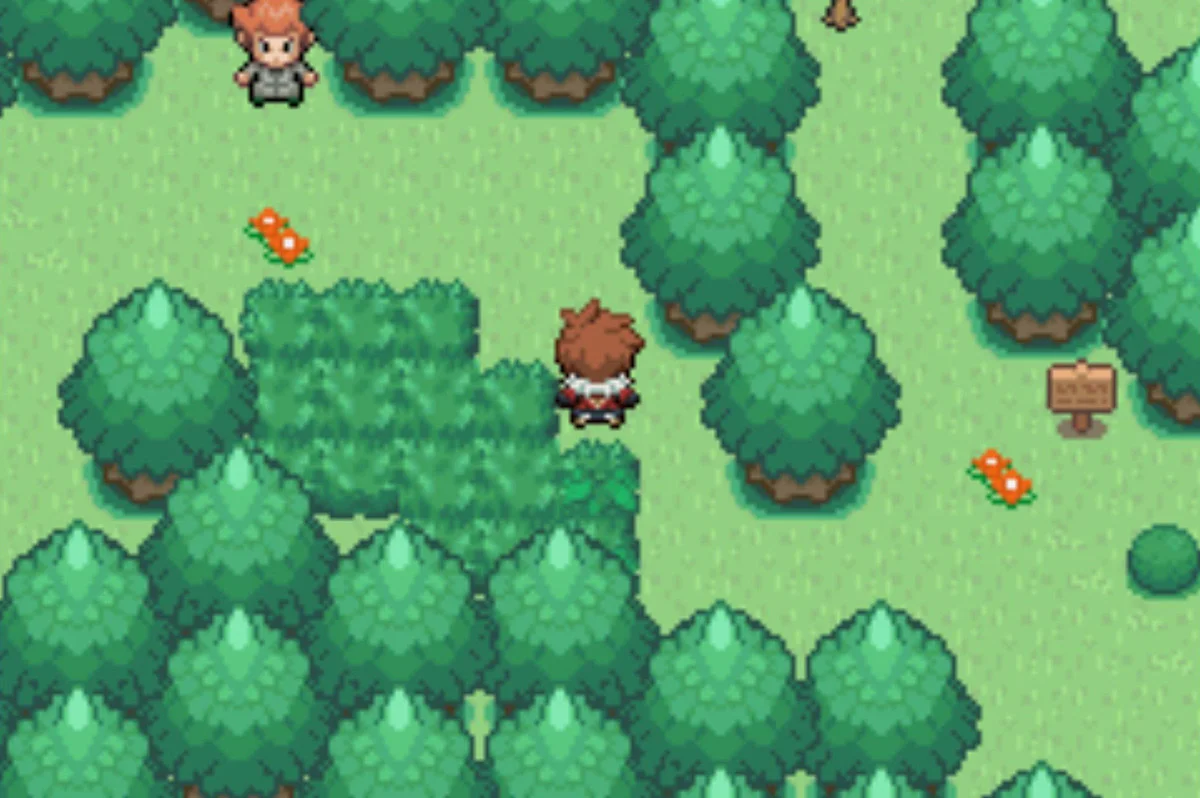 숲속에 있는 남자 / 포켓몬 언바운드