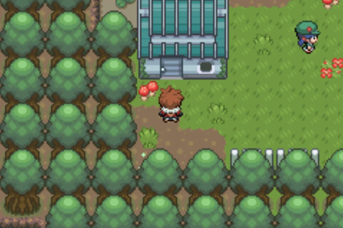 The child inside here has a problem / Pokémon Unbound