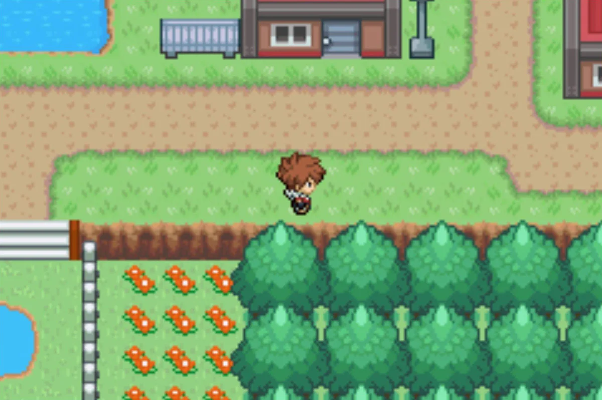 The house near the entrance to town / Pokémon Unbound