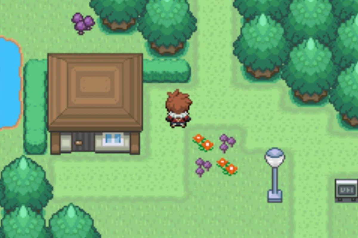 The trade house in Vivill Town / Pokémon Unbound