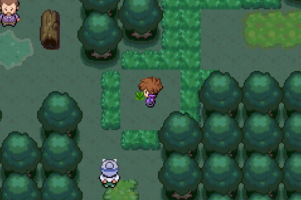 Cutting down long grass / Pokémon Unbound