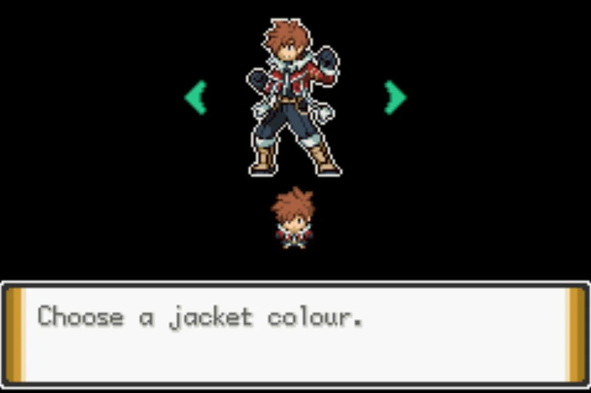 There are a lot of customization options / Pokémon Unbound