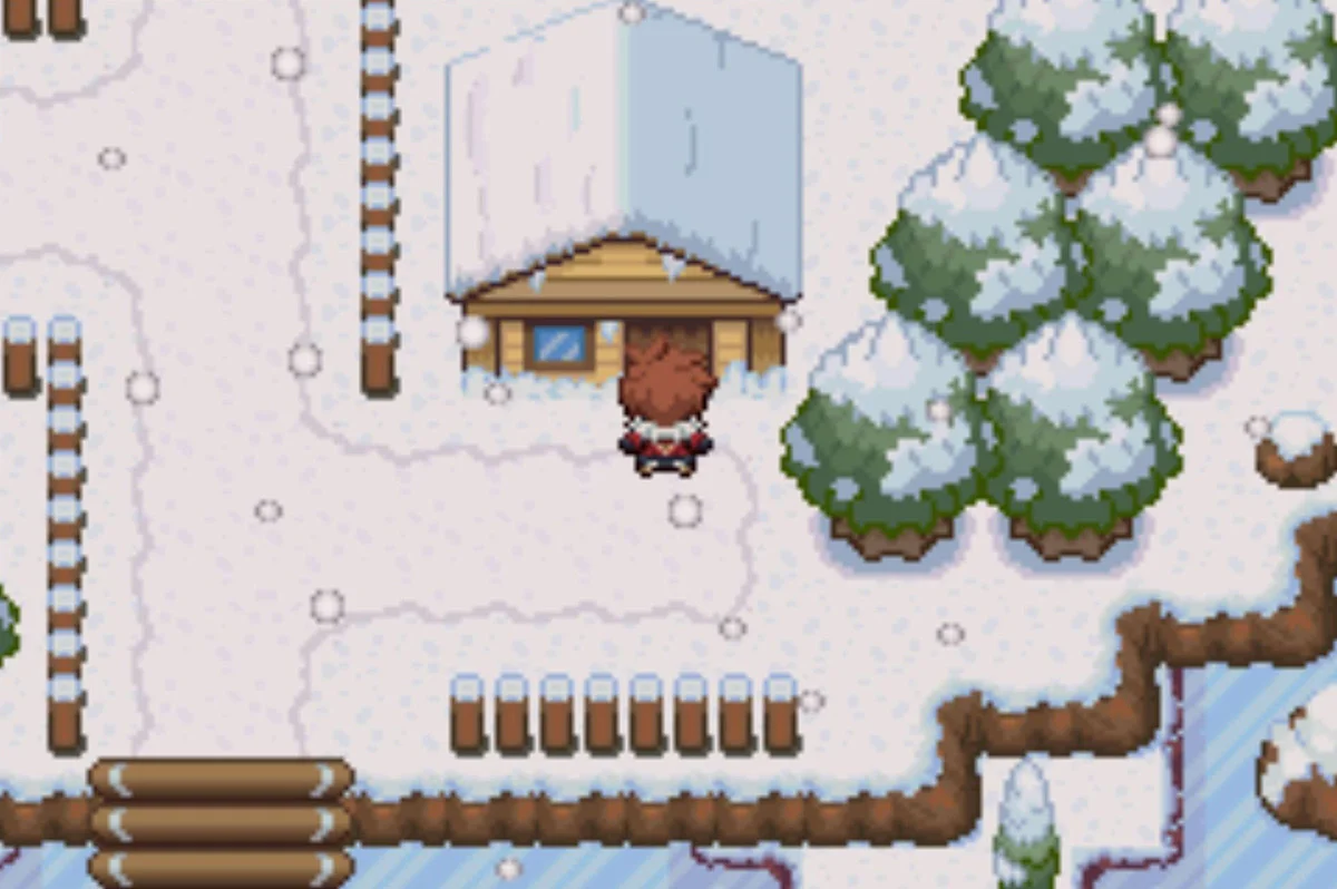 Your neighbours’ house / Pokémon Unbound