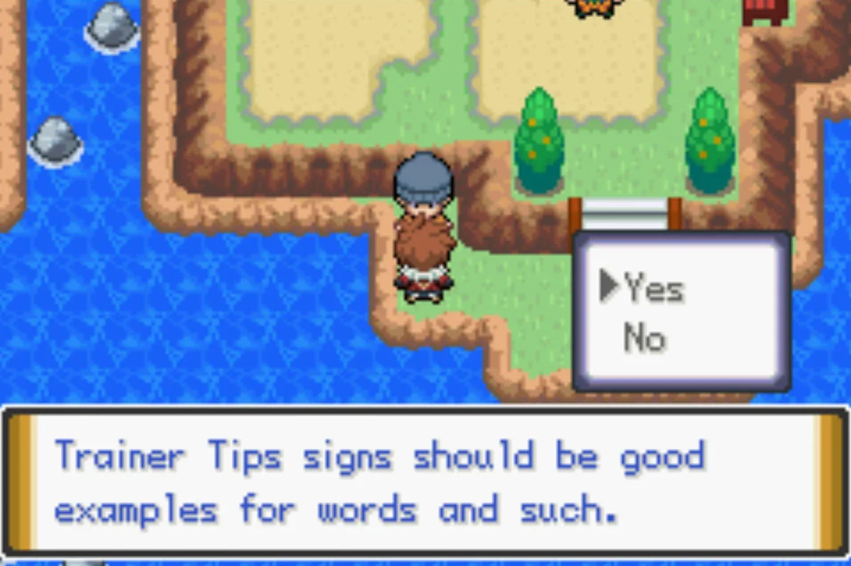 This guy needs help with his reading / Pokémon Unbound