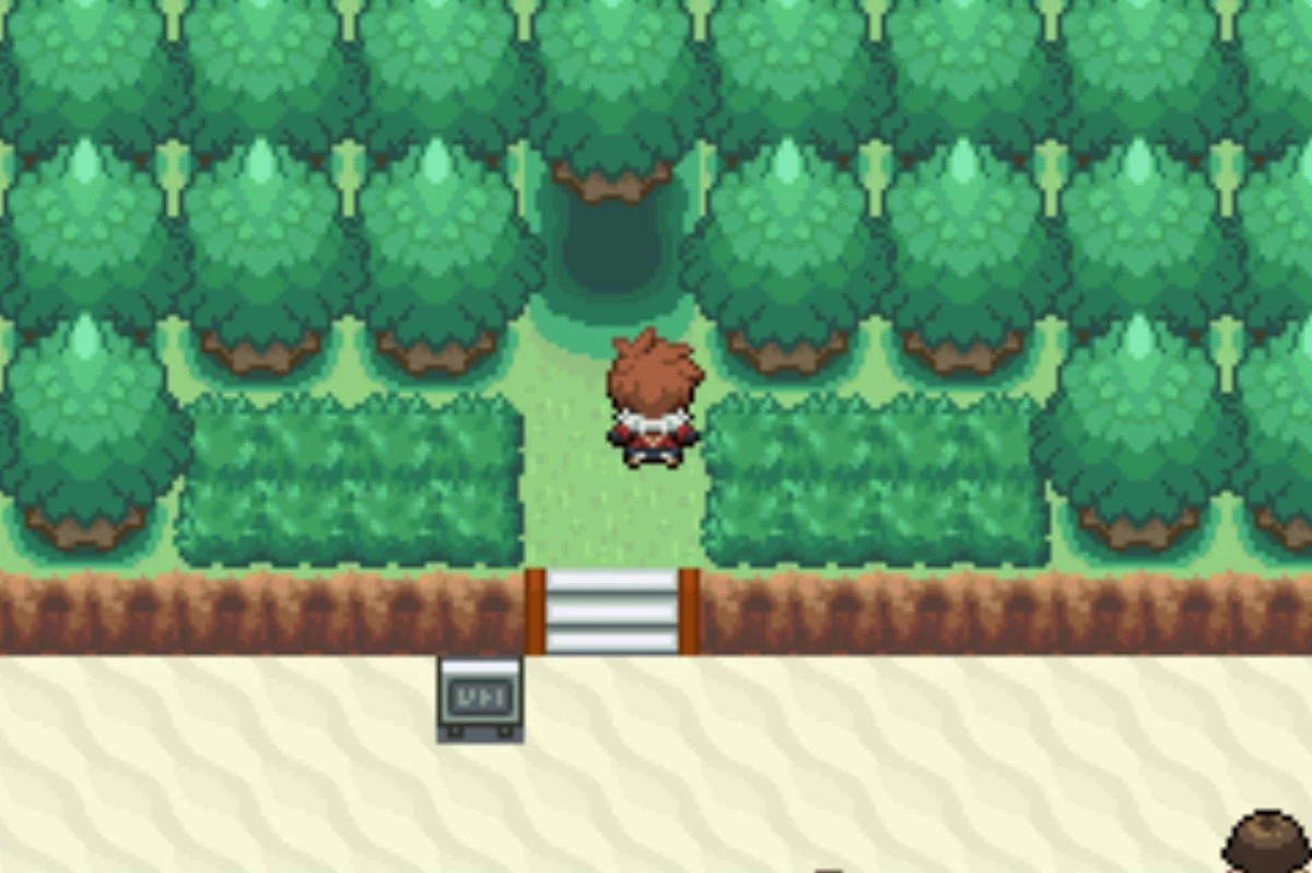 The entrance to a field full of flowers / Pokémon Unbound