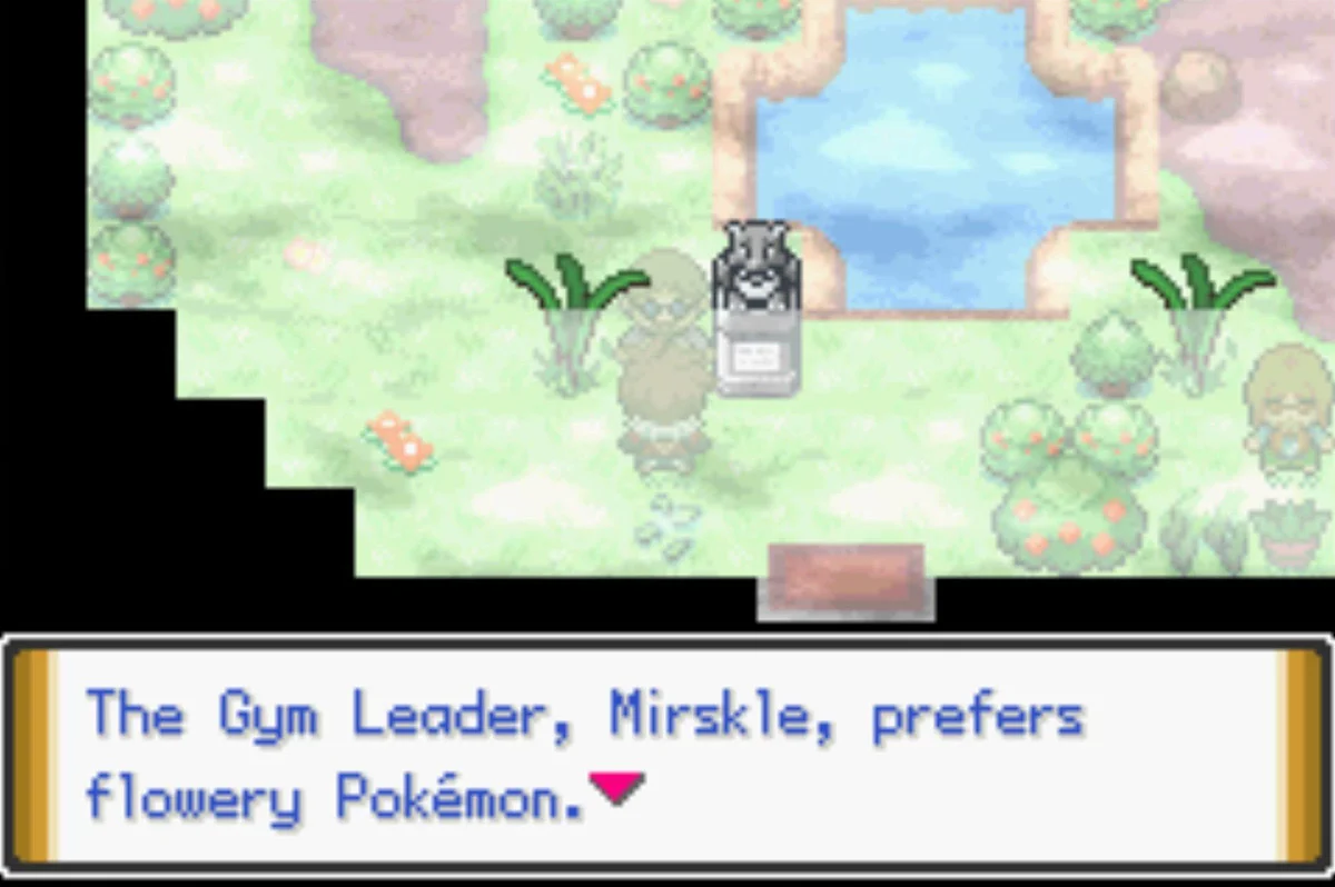 As soon as you enter the Gym, you’re hit by an awful fog / Pokémon Unbound
