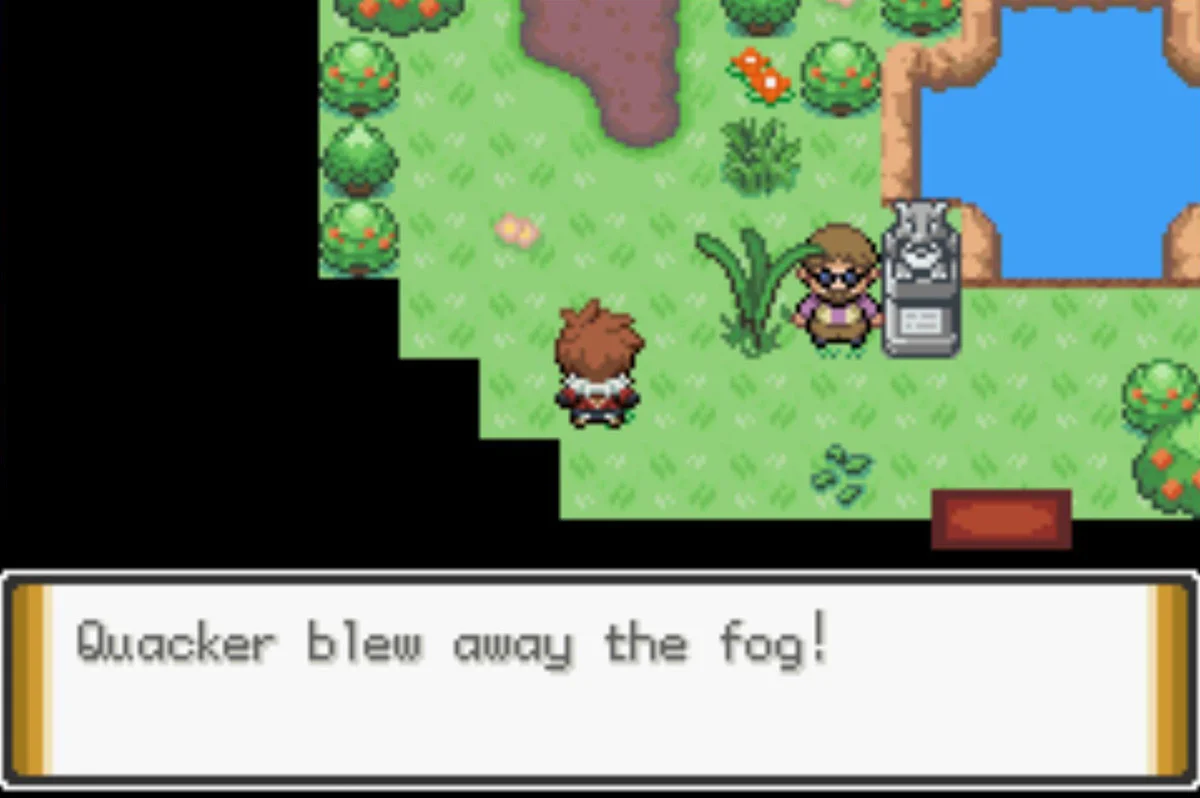 The Ducklett is a must-bring for this Gym / Pokémon Unbound