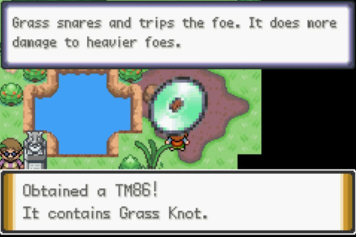 Your prize, as well as the Leaf Badge / Pokémon Unbound