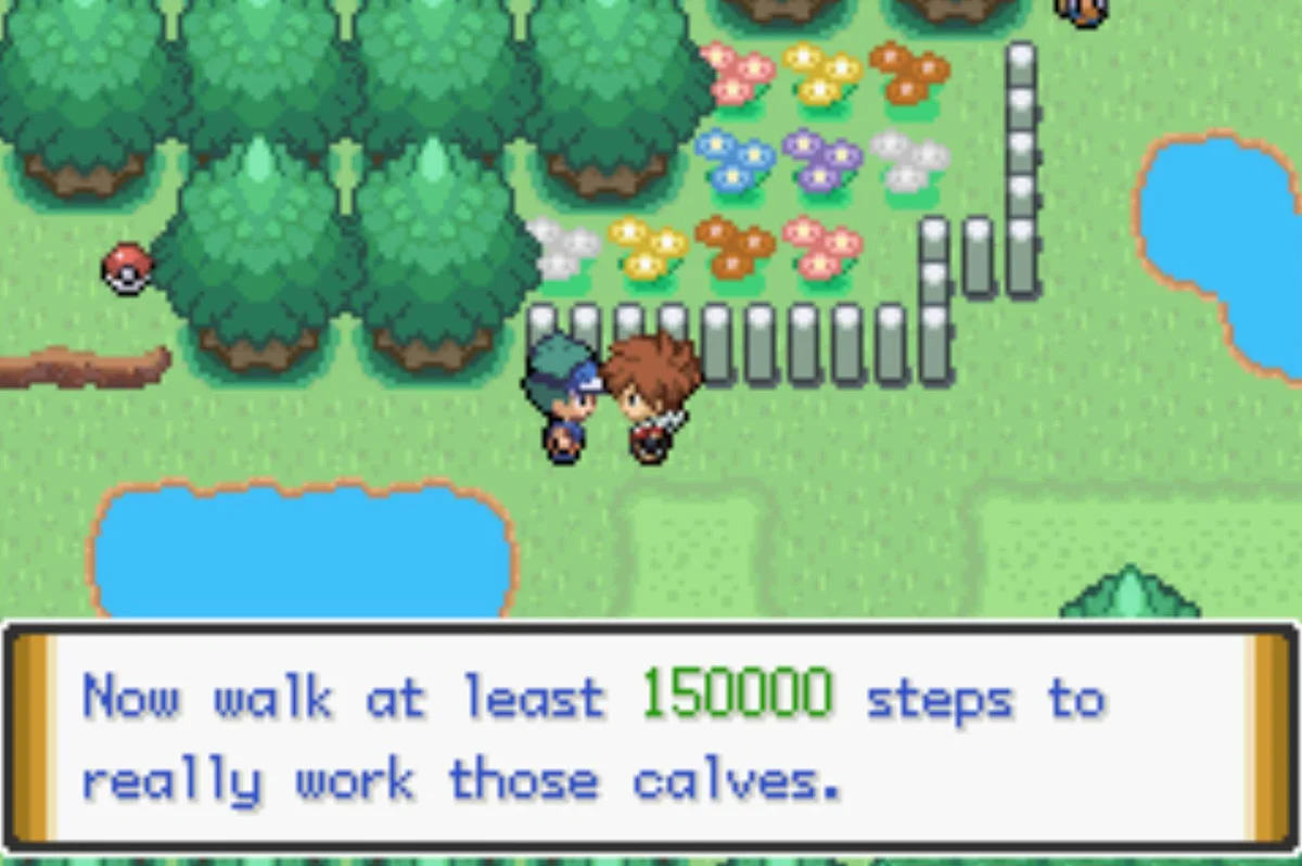 아가씨 Sally 이후 / Pokémon Unbound