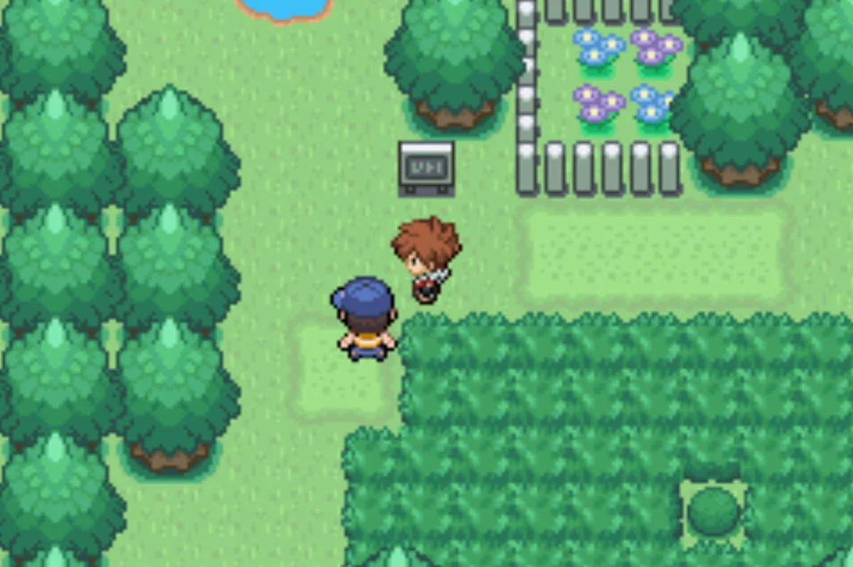 꼬마 Ben과 갈림길 / Pokémon Unbound