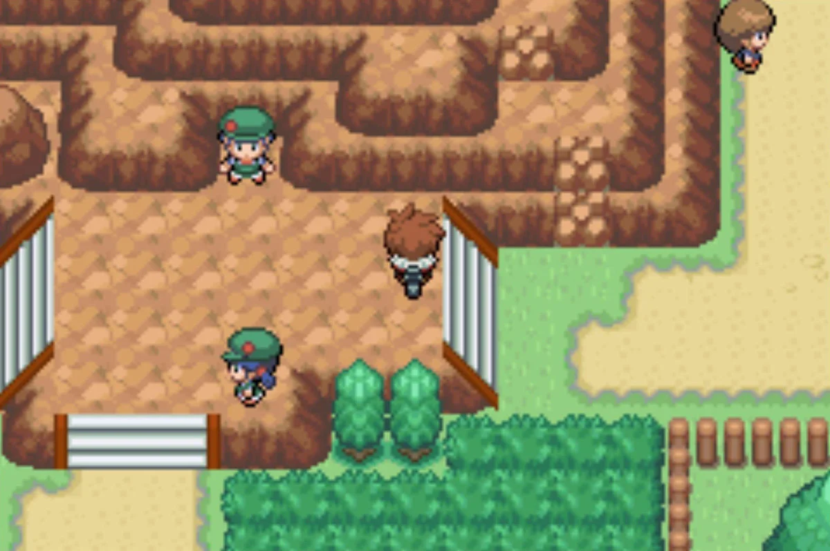 Another potential Double Battle / Pokémon Unbound