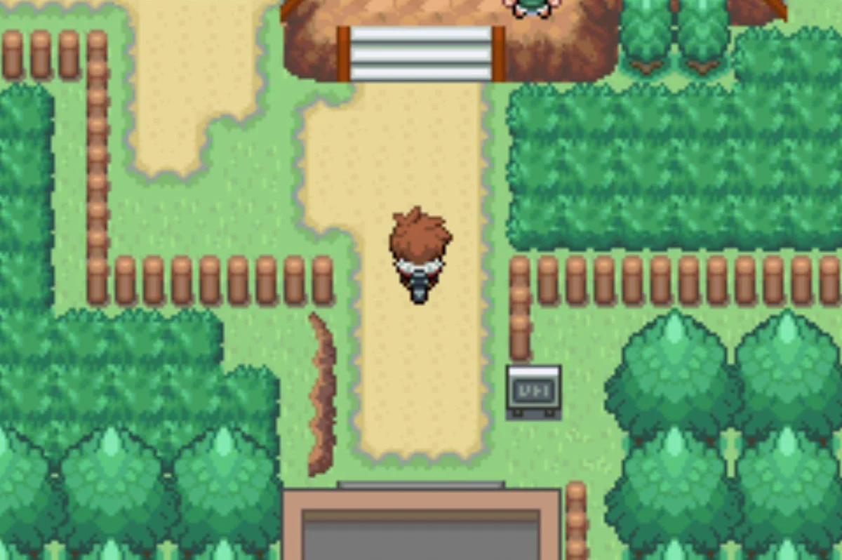The south gate leads to Shadow Grunts / Pokémon Unbound