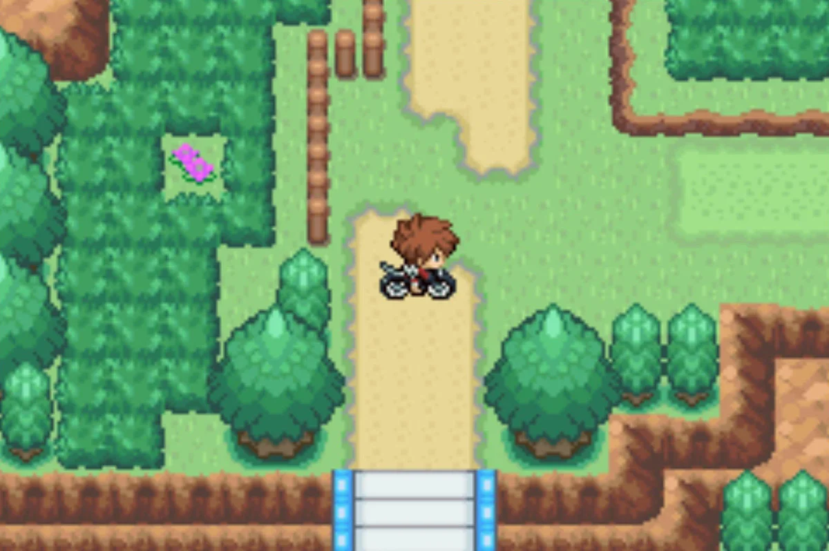 The last fork in Route 7 / Pokémon Unbound