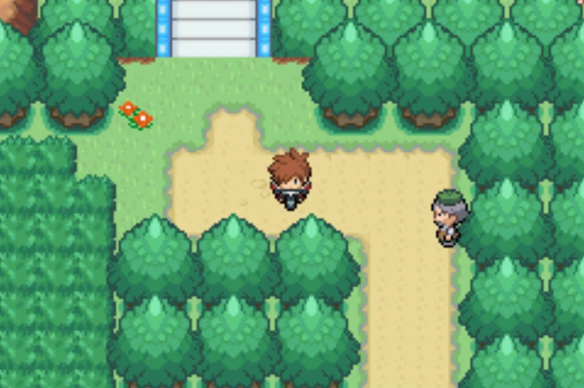 The other side of the bridge / Pokémon Unbound