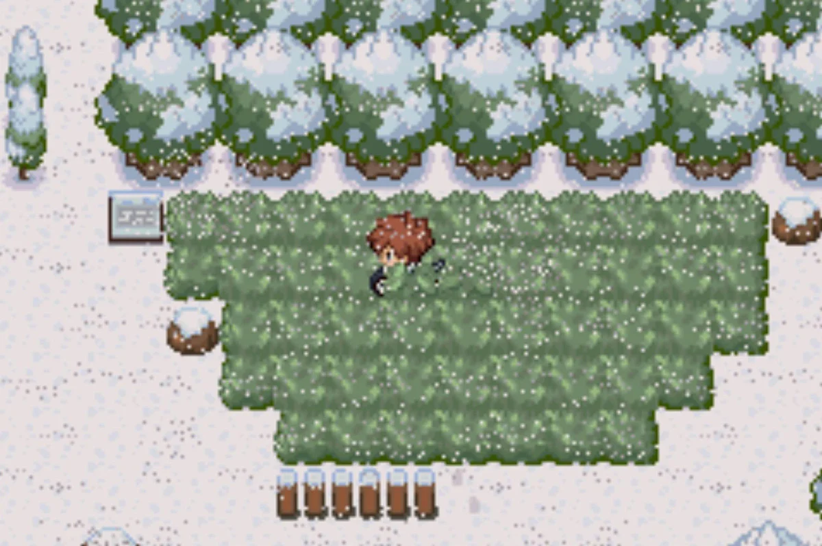 This large patch signifies the end of Route 8 / Pokémon Unbound